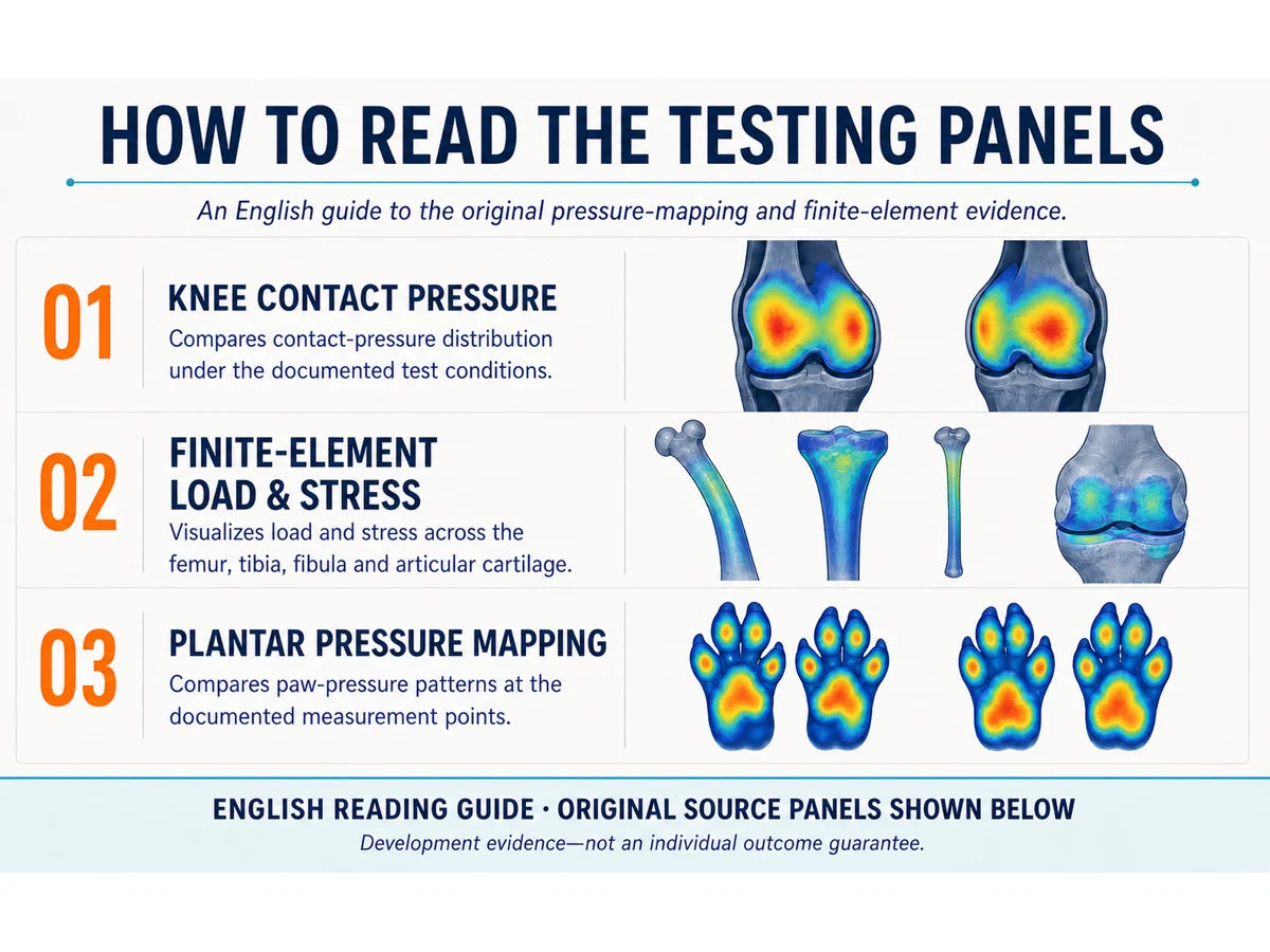 Example of pressure and biomechanical testing used during product evaluation